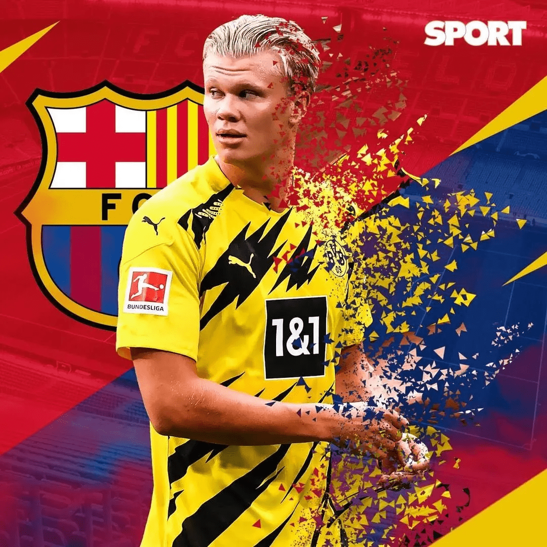 机器人以及定制化集成